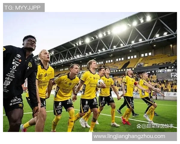 埃尔夫与哥德堡对决前瞻分析及胜负预测详解 埃尔夫与哥德堡对决前瞻分析及胜负预测详解